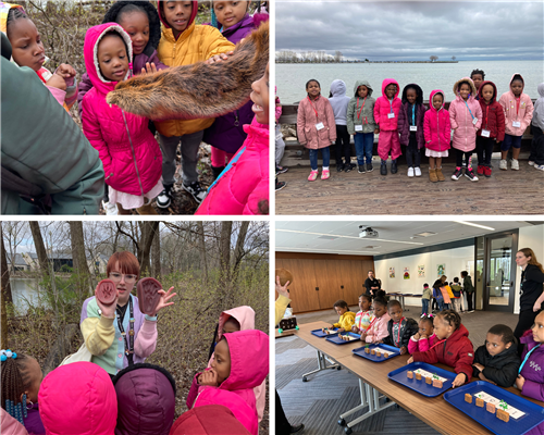 Second collage Kindergarten students learning about Nature